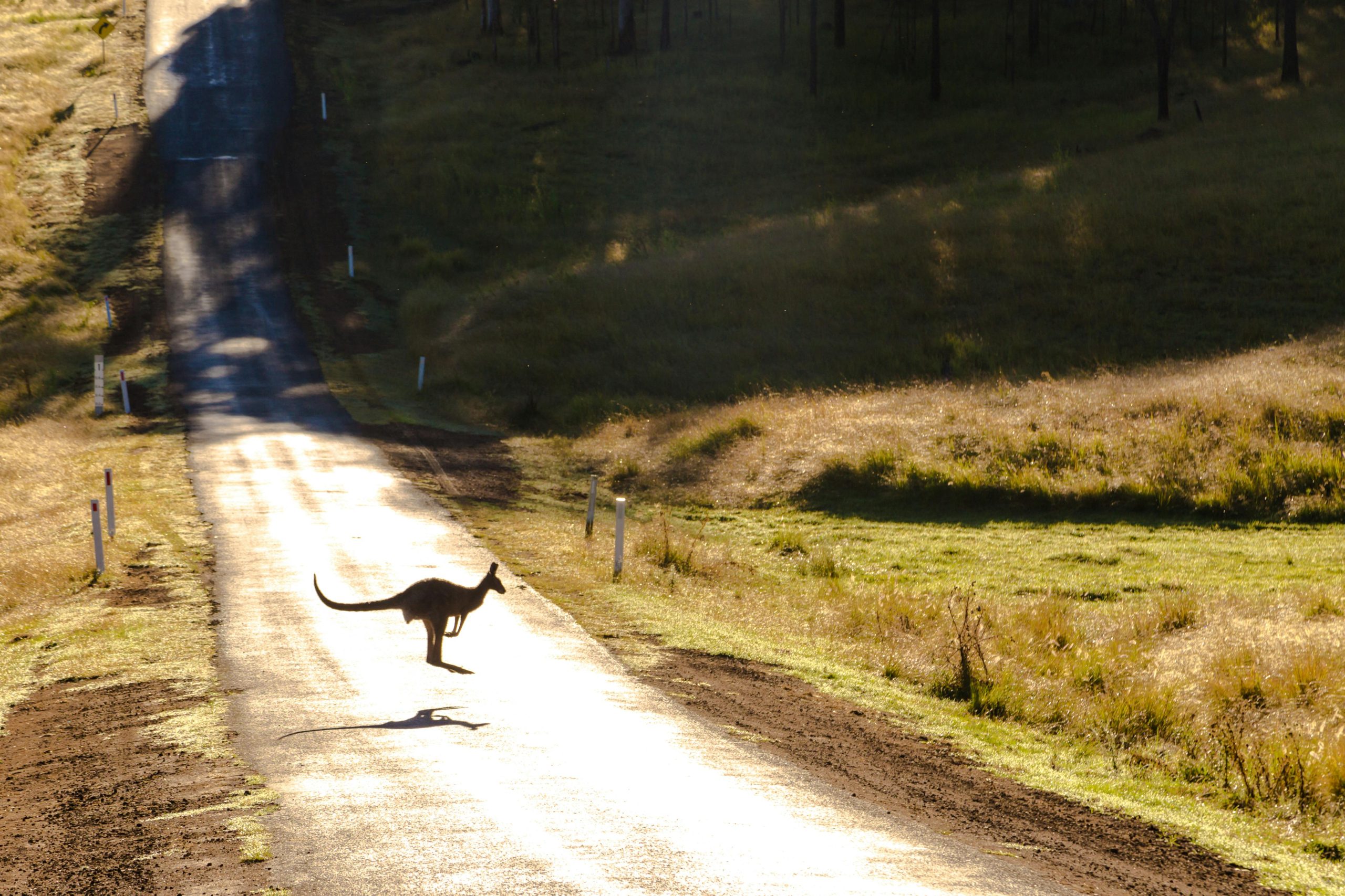 Regulatory Environment for Peer-to-Peer Lending in Australia