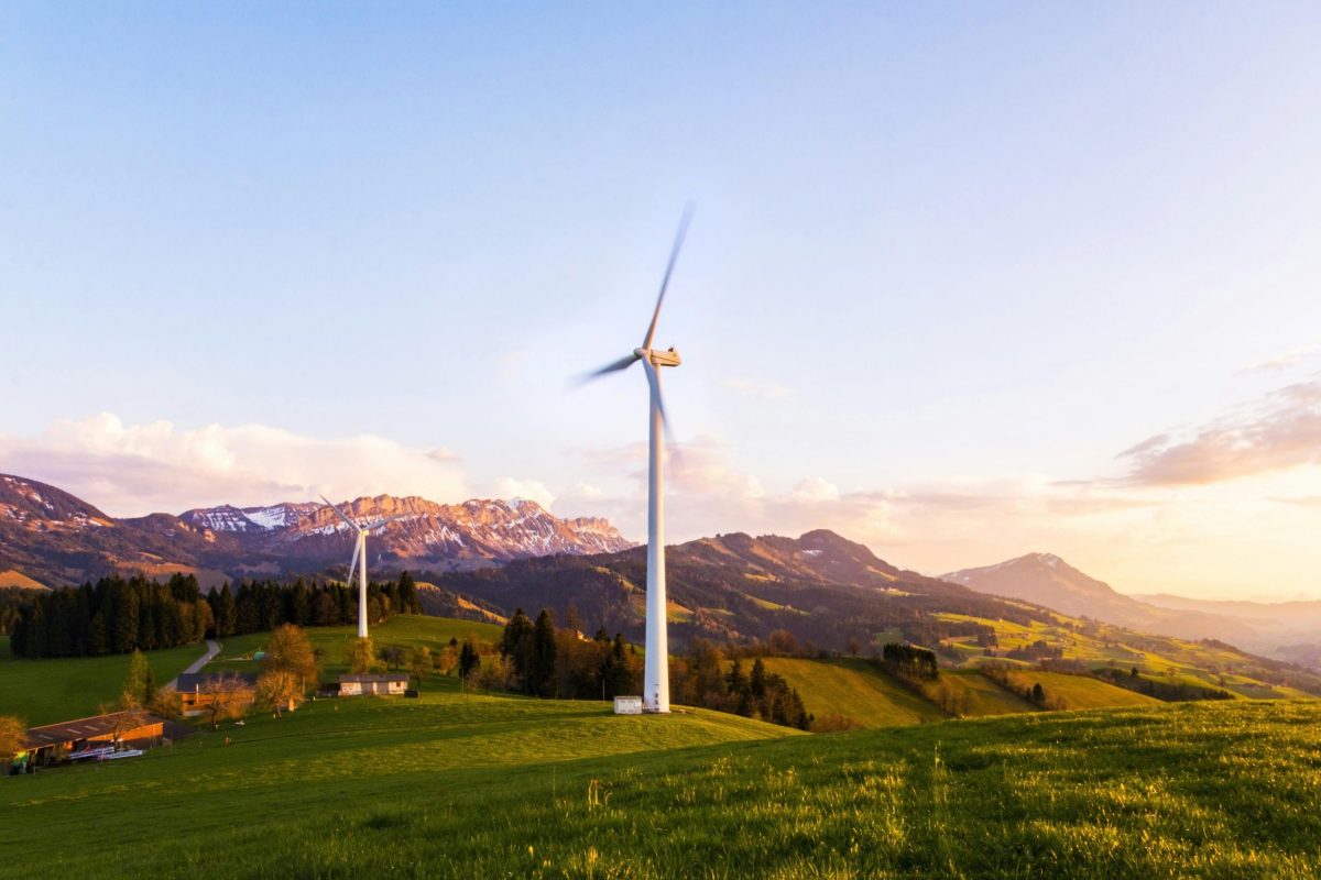 The Economic Landscape of Renewable Energy Investment