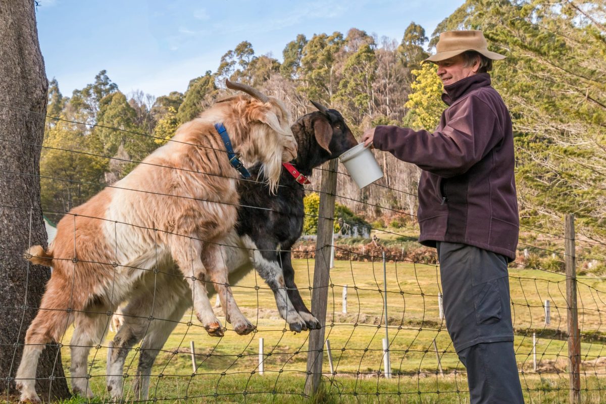 The Future of Sustainable Agriculture in Australia