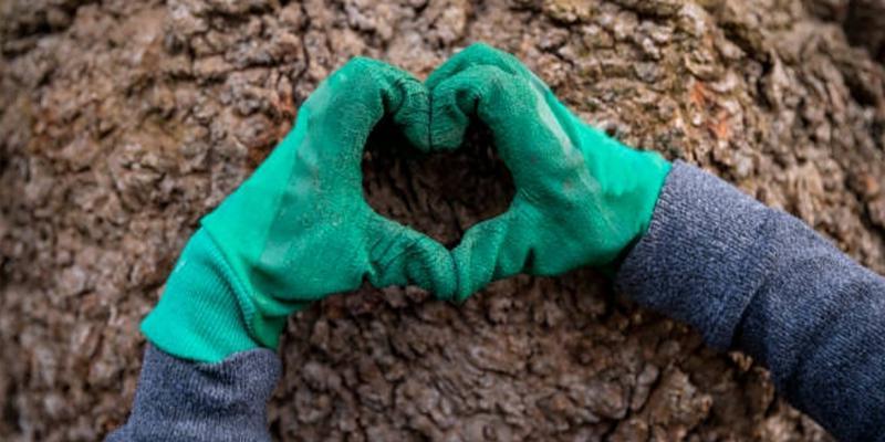 Ethical and Sustainable Investing Explained Challenges and Considerations in Ethical Investing