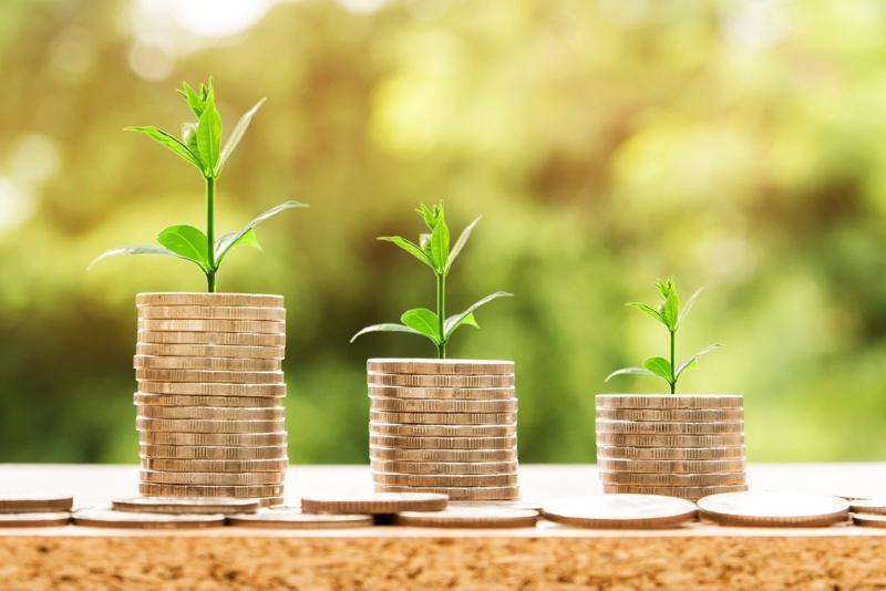 How to Approach Wealth Creation with a Global Perspective Ethical and Sustainable Global Investing