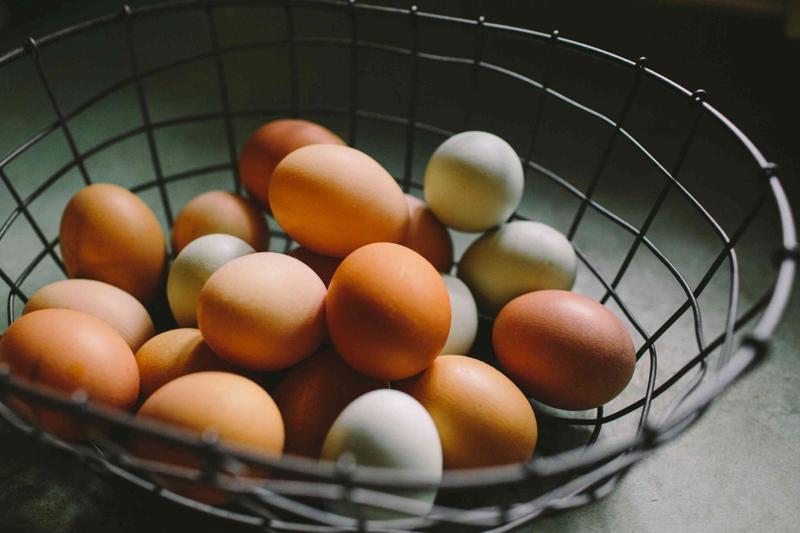 How to Avoid Common Investing Mistakes Diversification Not Putting All Your Eggs in One Basket