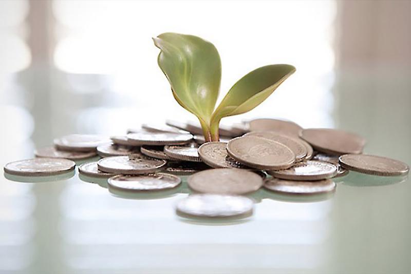 How to Build Wealth with a Small Business Building and Protecting Your Wealth as a Small Business Owner