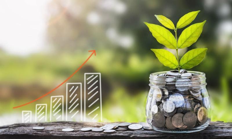 How to Make Smart Investment Decisions Under Pressure The Role of Professional Advice in Navigating Investment Waters