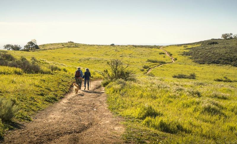 How to Plan for Early Retirement In Closing