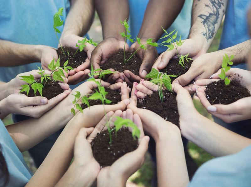 How to Plan for Sudden Wealth Syndrome Giving Back Philanthropy and Community Engagement
