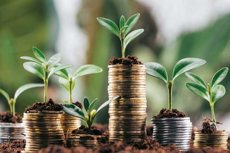 How to Use Insurance Products to Protect Your Wealth Unlocking the Power of Insurance for Wealth Protection