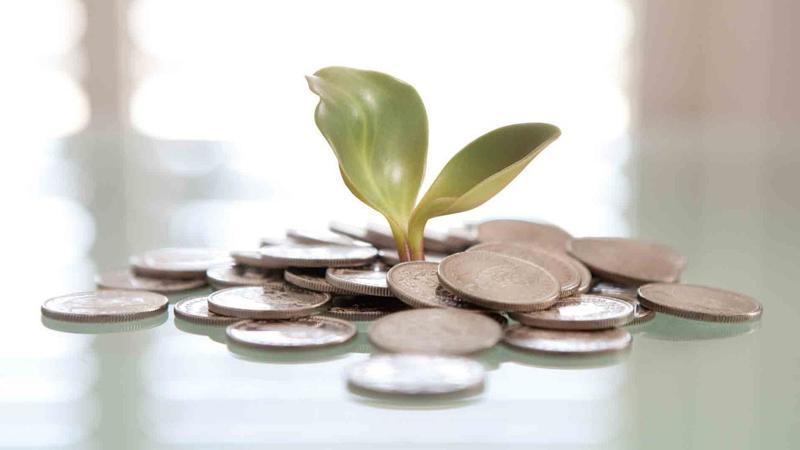 How to Utilize Equity Crowdfunding for Investment Navigating the Australian Equity Crowdfunding Platforms