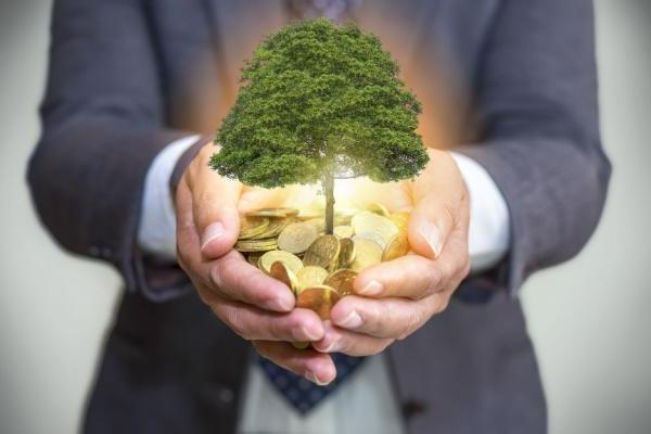 Strategies for Balancing Ethical Investing with Profit Goals Tools and Resources for Ethical Investors