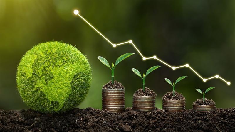 Strategies for Investing in Sustainable Agriculture Evaluating and Choosing Sustainable Agricultural Investments