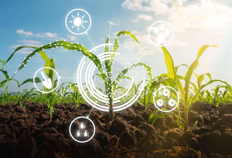 Strategies for Investing in Sustainable Agriculture Evaluating and Choosing Sustainable Agricultural Investments