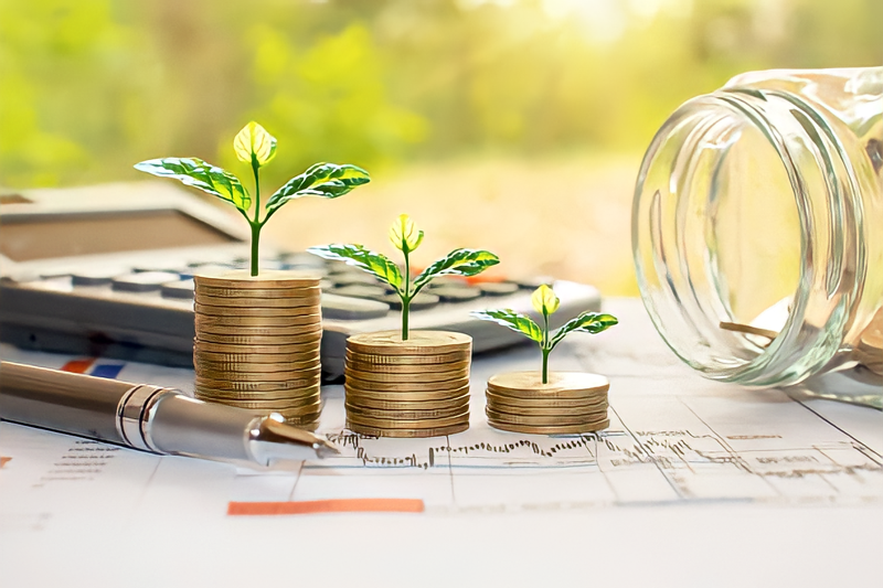 Strategies for Investing in Sustainable Agriculture Evaluating and Choosing Sustainable Agricultural Investments
