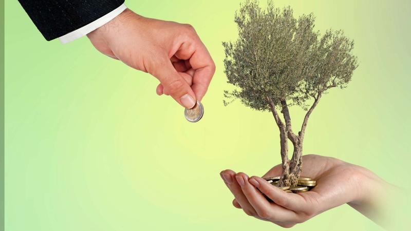 Strategies for Investing in Sustainable Agriculture In Closing
