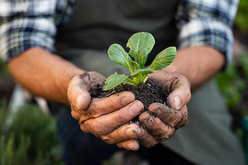 Strategies for Investing in Sustainable Agriculture Strategies for Investing in Sustainable Agriculture
