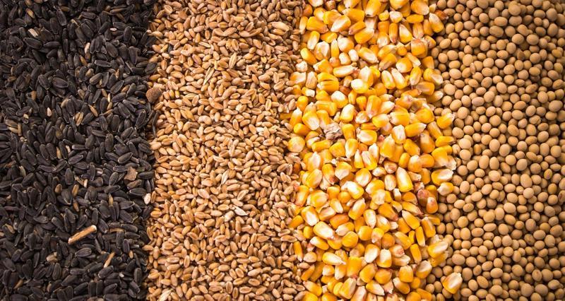 The Basics of Commodity Investing Exploring the Types of Commodities and Their Role in the Australian Economy