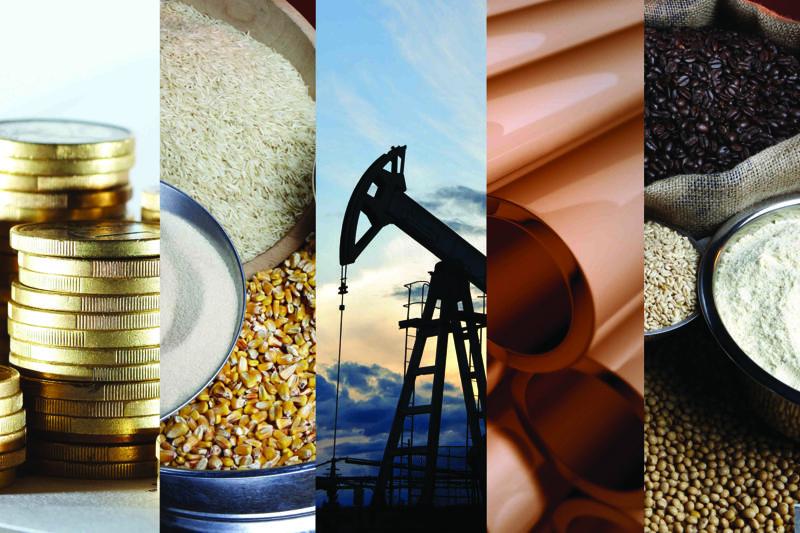 The Basics of Commodity Investing Introduction to Commodity Investing