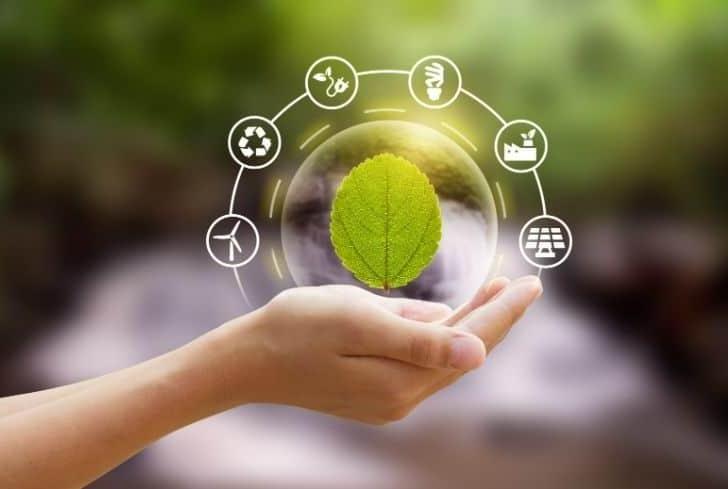 The Impact of Environmental Sustainability on Investment Choices Environmental Sustainability Criteria in Investment Decision Making