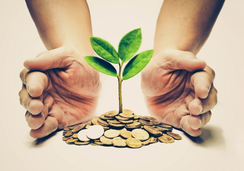 The Impact of Environmental Sustainability on Investment Choices The Economic Benefits of Sustainable Investing