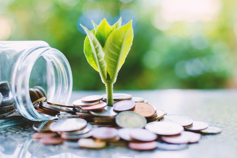 The Impact of Environmental Sustainability on Investment Choices The Economic Benefits of Sustainable Investing
