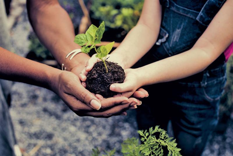 The Impact of Environmental Sustainability on Investment Choices The Evolution of Sustainable Investing in Australia