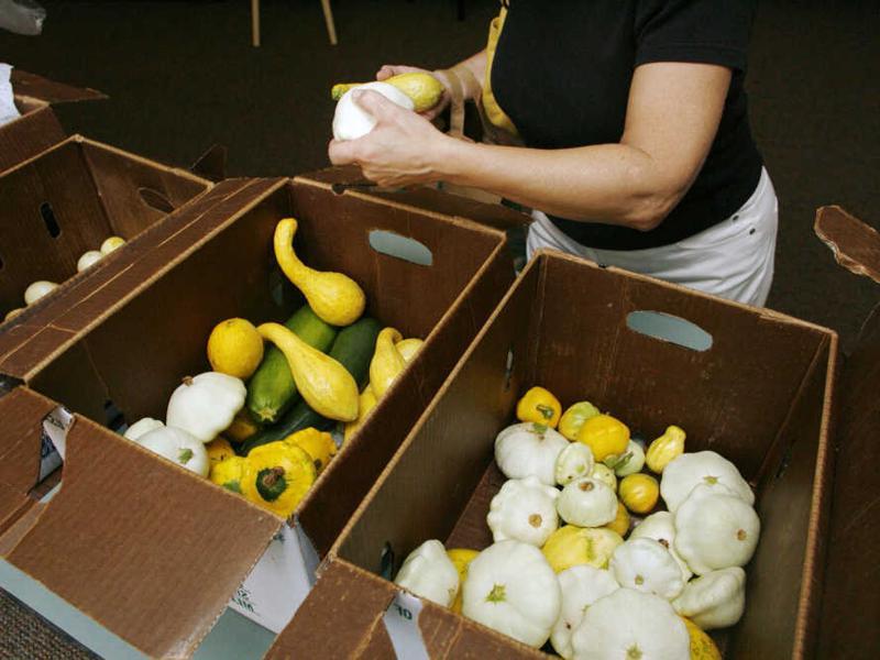 The Importance of Community-Supported Agriculture CSA Investments Challenges Facing CSA in Australia
