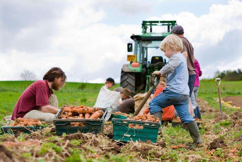 The Importance of Community-Supported Agriculture CSA Investments Introduction to Community-Supported Agriculture CSA in Australia