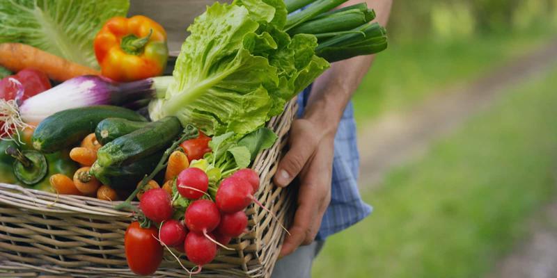 The Importance of Community-Supported Agriculture CSA Investments The Economic Benefits of Investing in CSA