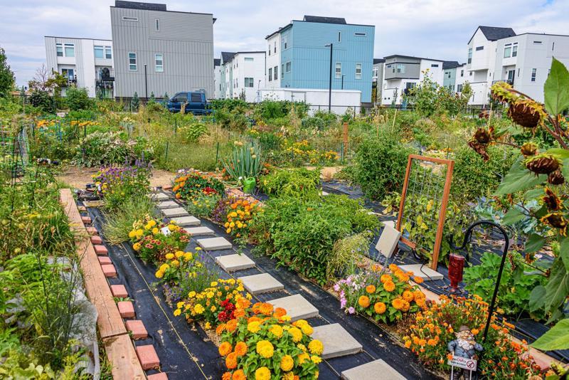 The Importance of Community Engagement in Wealth Building Government Policies and Community Engagement
