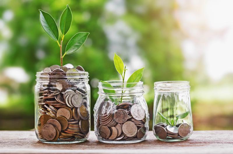 The Importance of Financial Literacy in Wealth Creation Debt Management and Credit Understanding Pathways to Financial Freedom