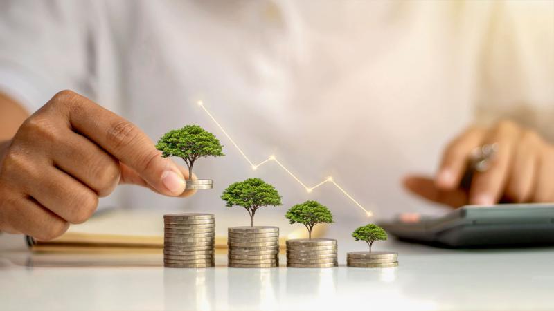 The Importance of Financial Literacy in Wealth Creation Investing Wisely Building Wealth Beyond Savings