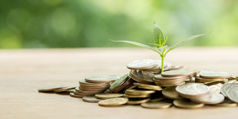 The Importance of Networking in Wealth Creation Unlocking Wealth Through Networking in Australia