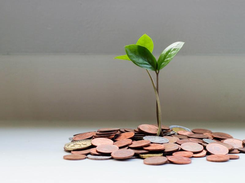 The Importance of Personal Branding in Wealth Creation The Future of Personal Branding and Wealth Creation in Australia