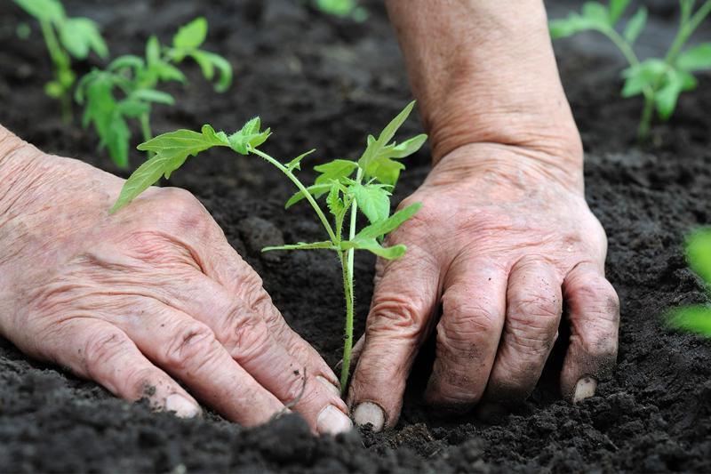 The Importance of a Will in Estate Planning In Closing