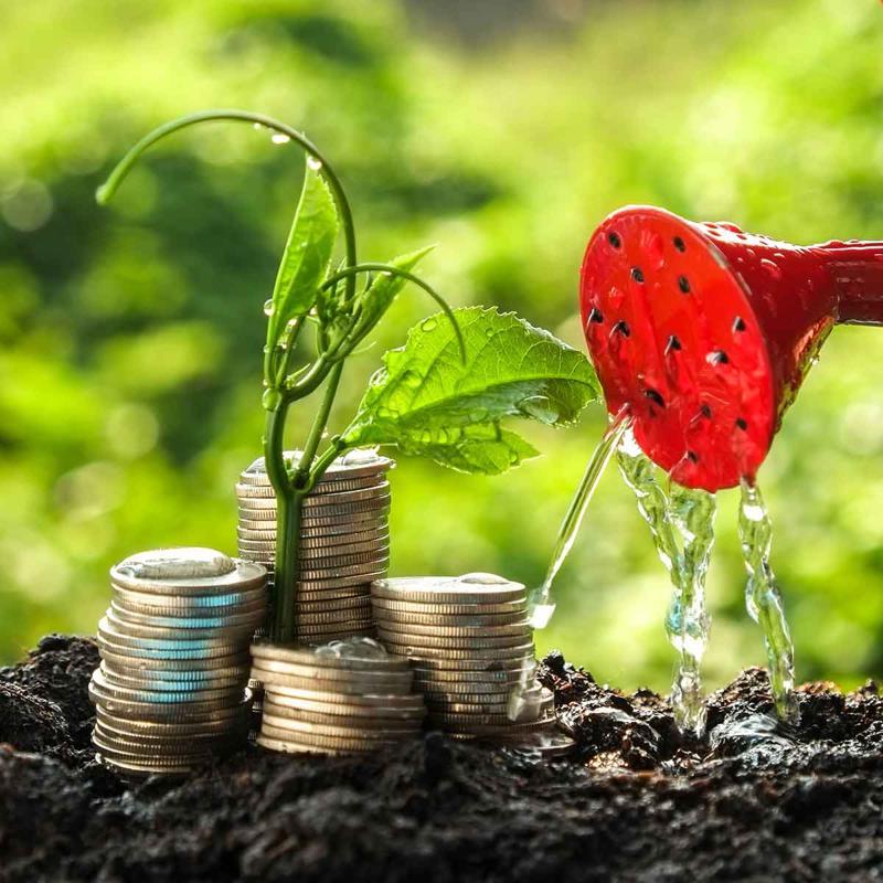 The Role of Patents and Intellectual Property in Wealth Creation Leveraging Intellectual Property for Wealth Creation in Australia