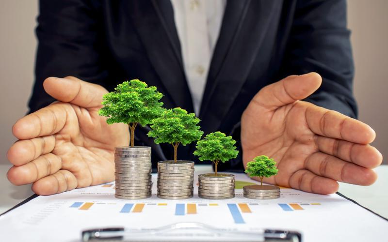 The Role of Sustainability in Personal Finance Green Loans and Sustainable Financing